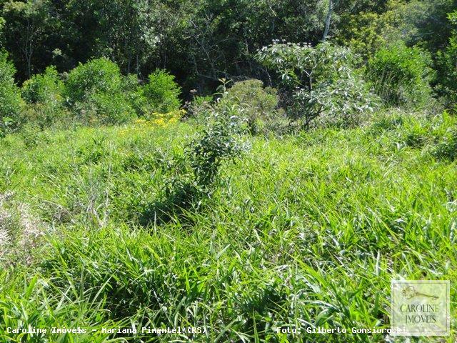 Loteamento e Condomínio, 32 hectares - Foto 22