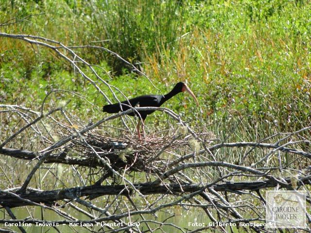 Loteamento e Condomínio, 32 hectares - Foto 24
