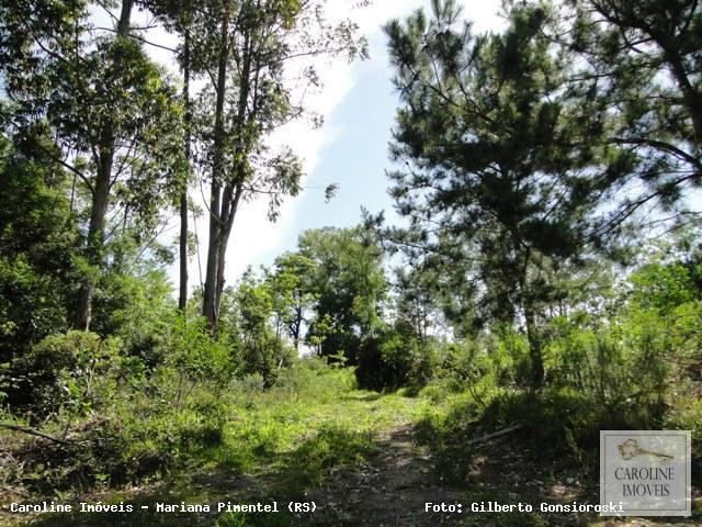 Loteamento e Condomínio, 32 hectares - Foto 28