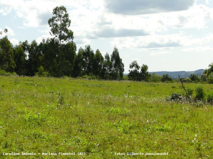 Sítio, 3 quartos, 16 hectares - Foto 28