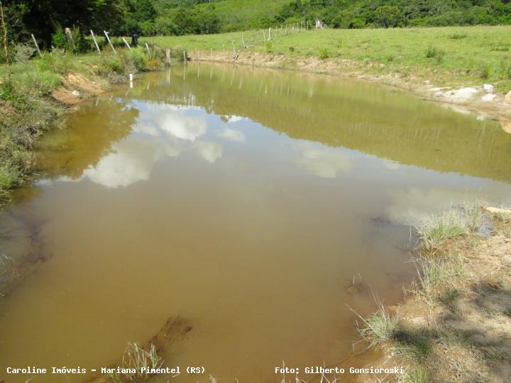 Sítio, 3 quartos, 16 hectares - Foto 30