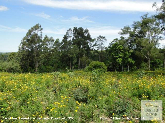 Loteamento e Condomínio, 32 hectares - Foto 3