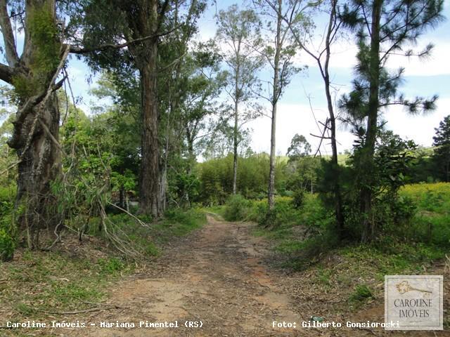 Loteamento e Condomínio, 32 hectares - Foto 4