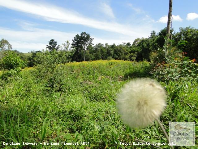 Loteamento e Condomínio, 32 hectares - Foto 5