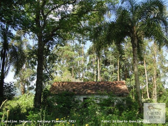 Loteamento e Condomínio, 32 hectares - Foto 6
