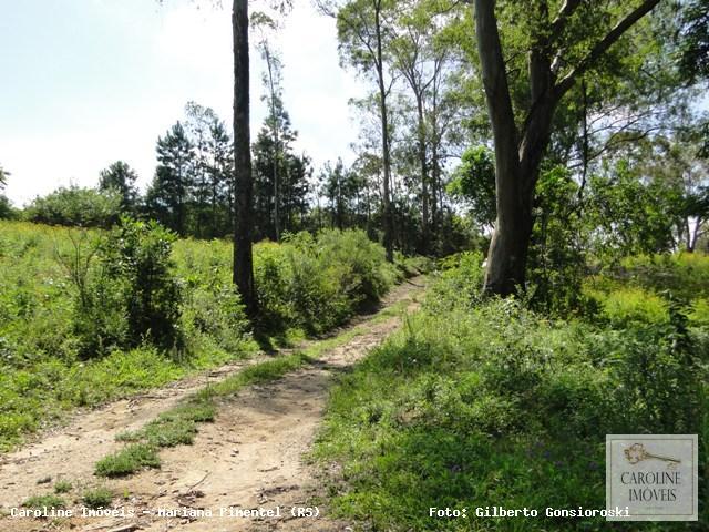 Loteamento e Condomínio, 32 hectares - Foto 7