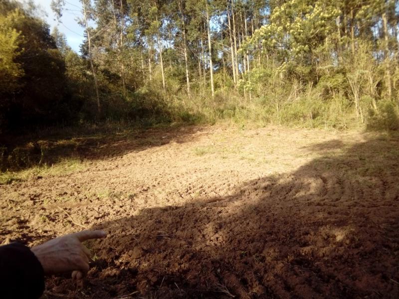 Chácara, 1 quarto, 3 hectares - Foto 18