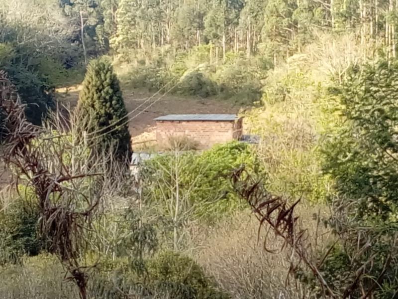 Chácara, 1 quarto, 3 hectares - Foto 21