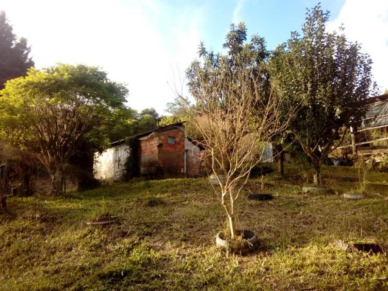 Chácara, 1 quarto, 3 hectares - Foto 8