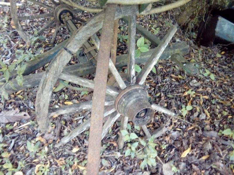 Chácara, 1 quarto, 3 hectares - Foto 25