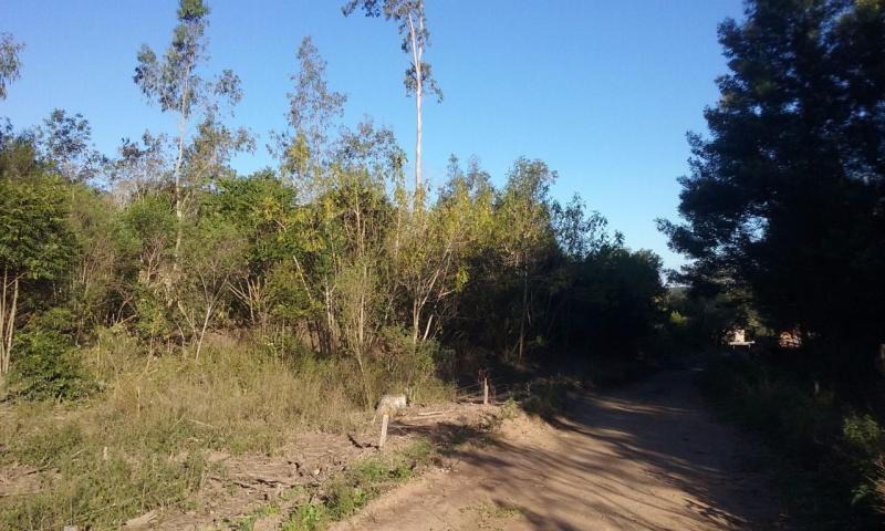 Loteamento e Condomínio, 11 hectares - Foto 3
