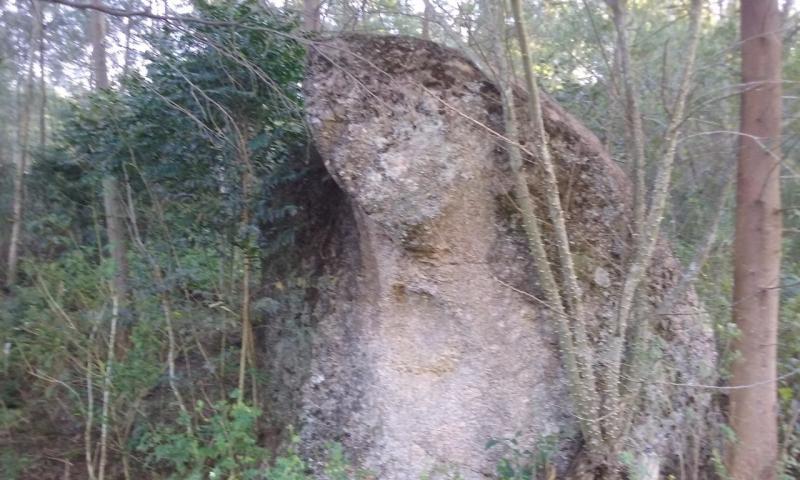 Loteamento e Condomínio, 11 hectares - Foto 6