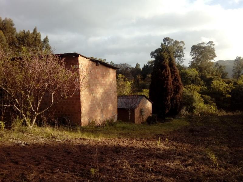 Chácara, 1 quarto, 3 hectares - Foto 6