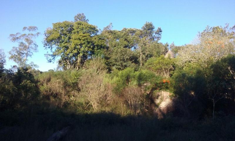 Loteamento e Condomínio, 11 hectares - Foto 7