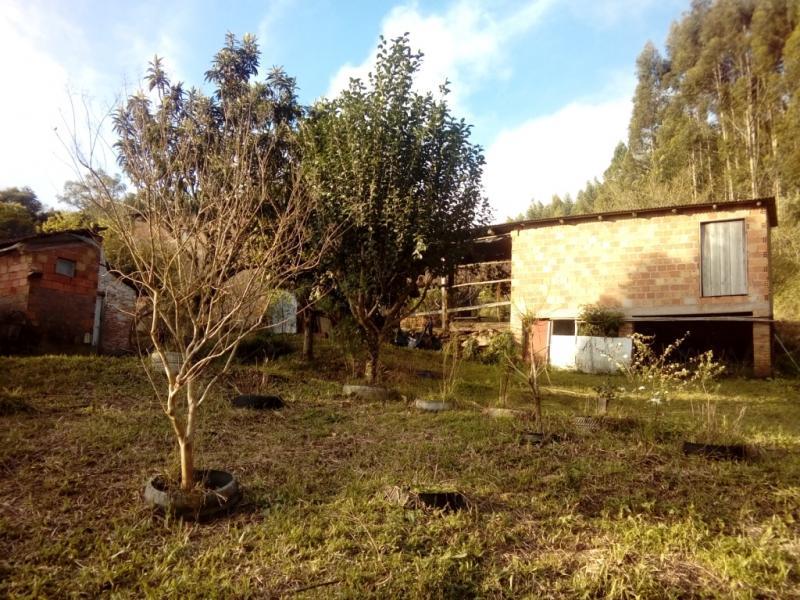 Chácara, 1 quarto, 3 hectares - Foto 7