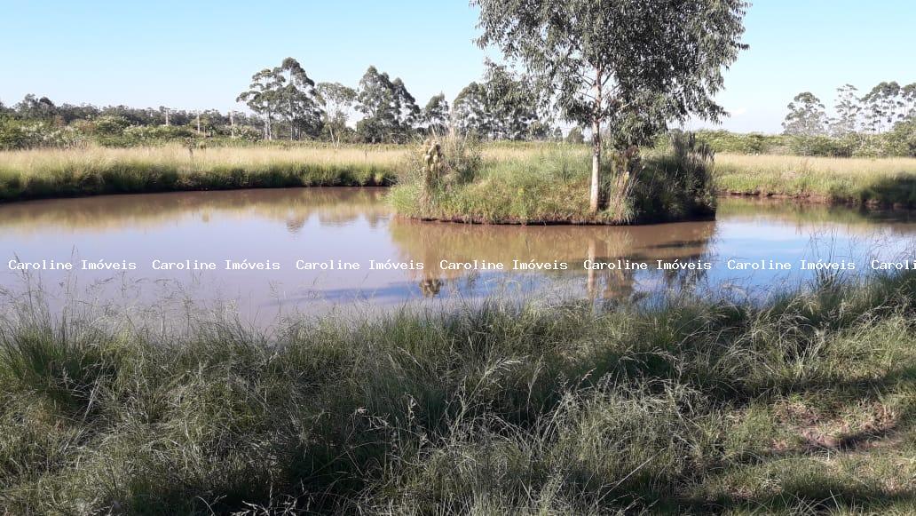 Chácara, 4 quartos, 2 hectares - Foto 1