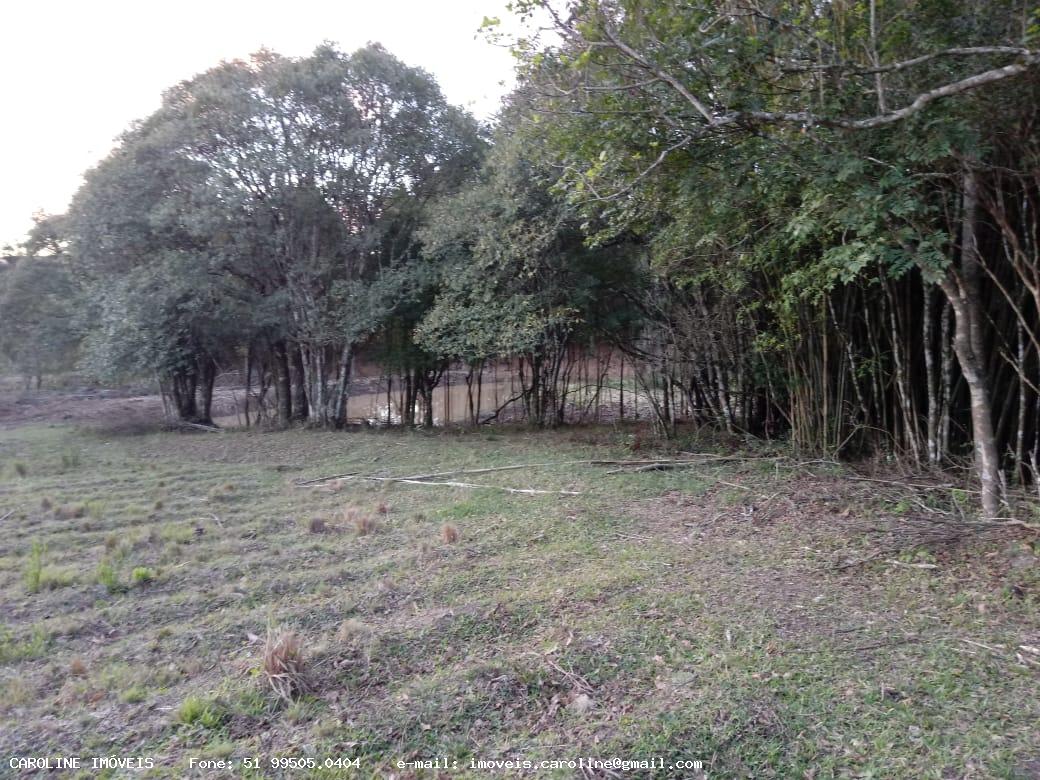 Loteamento e Condomínio, 4 hectares - Foto 15