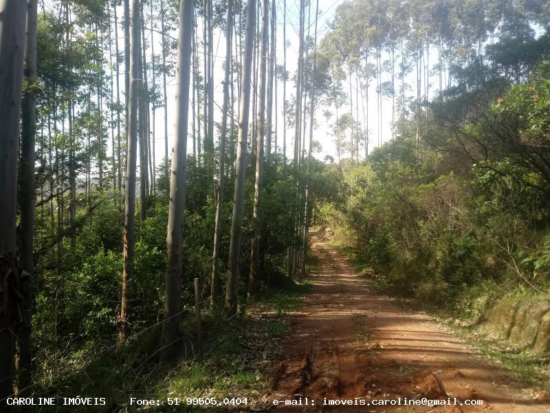 Loteamento e Condomínio, 9 hectares - Foto 6