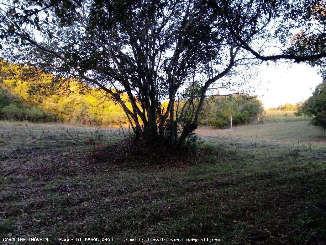 Loteamento e Condomínio, 4 hectares - Foto 5