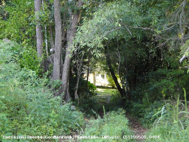 Chácara, 3 hectares - Foto 10