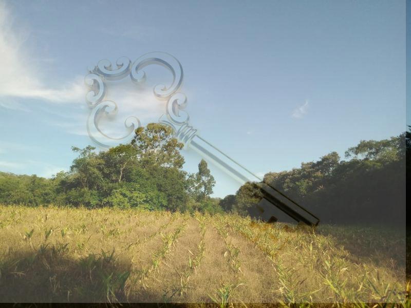 Loteamento e Condomínio, 13 hectares - Foto 11