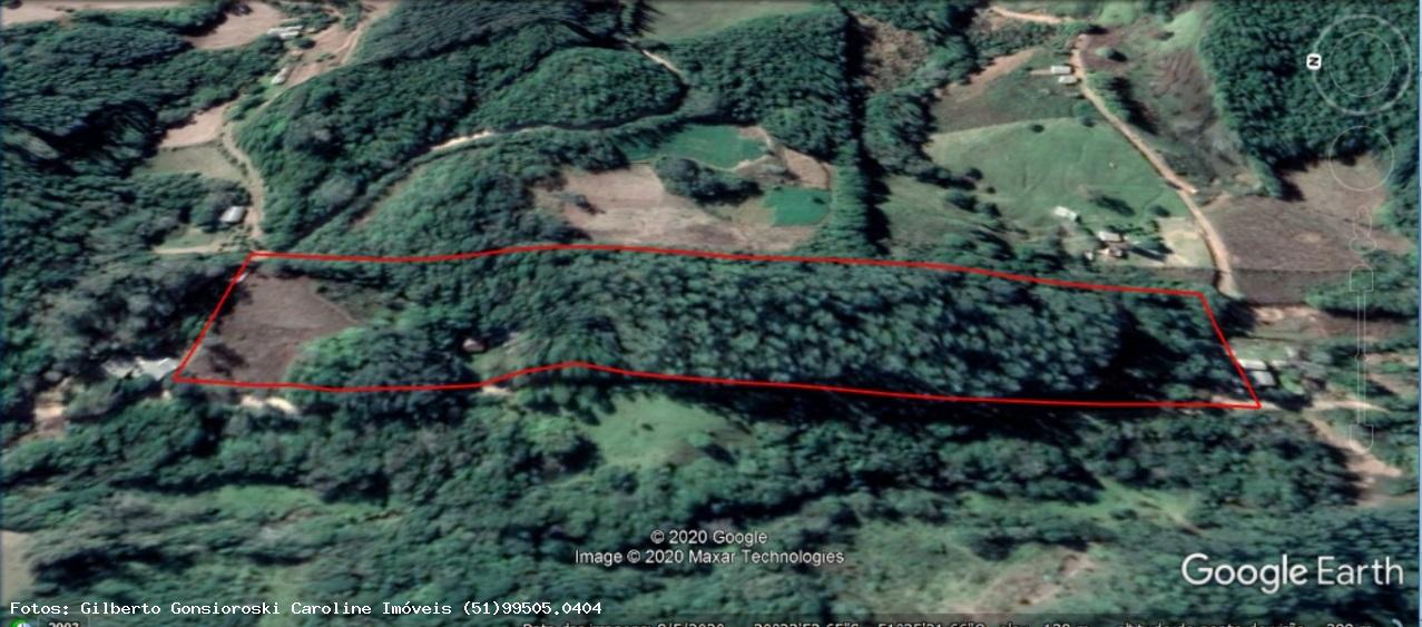 Chácara, 3 hectares - Foto 11