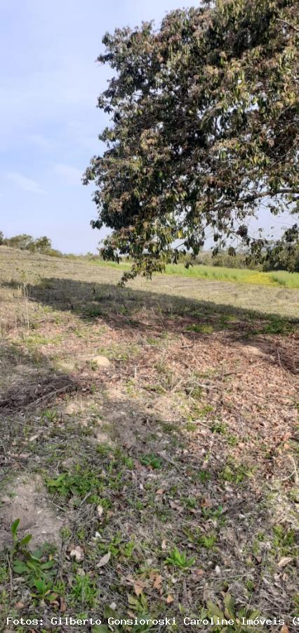 Loteamento e Condomínio, 5 hectares - Foto 20