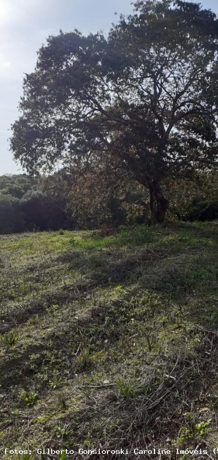 Loteamento e Condomínio, 5 hectares - Foto 12