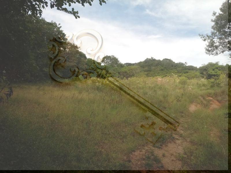 Loteamento e Condomínio, 13 hectares - Foto 5