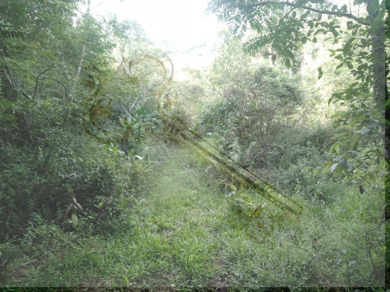 Loteamento e Condomínio, 13 hectares - Foto 6