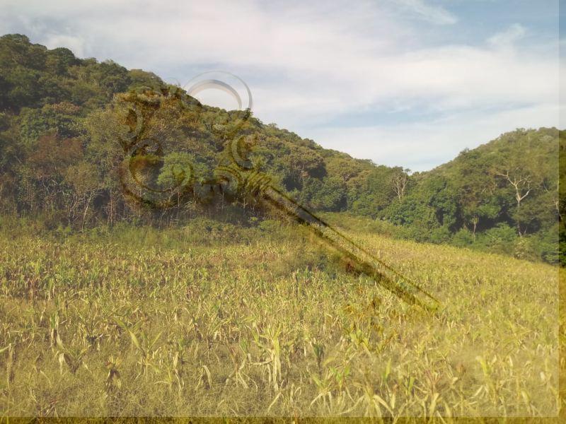 Loteamento e Condomínio, 13 hectares - Foto 7