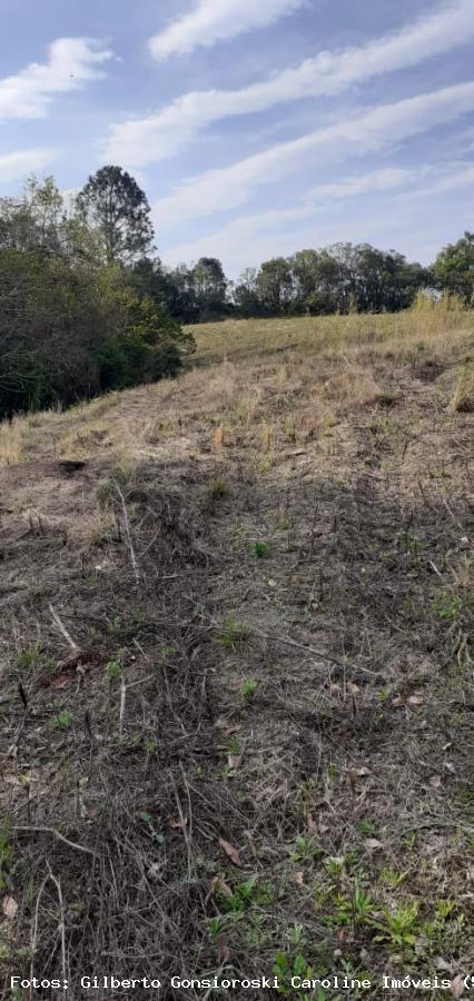 Loteamento e Condomínio, 5 hectares - Foto 14