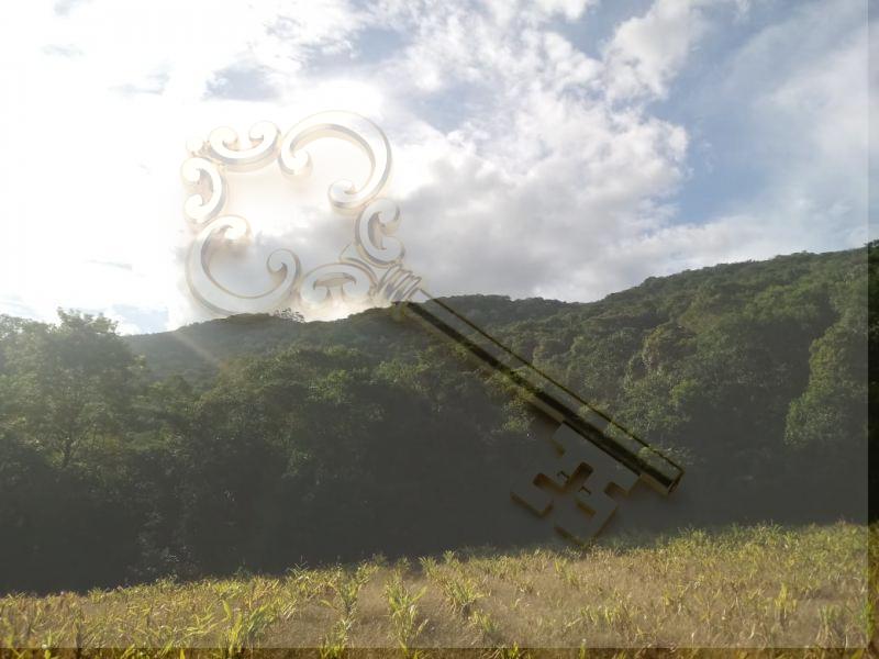 Loteamento e Condomínio, 13 hectares - Foto 8