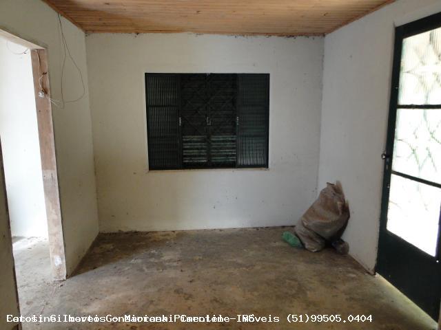 Chácara, 3 hectares - Foto 8