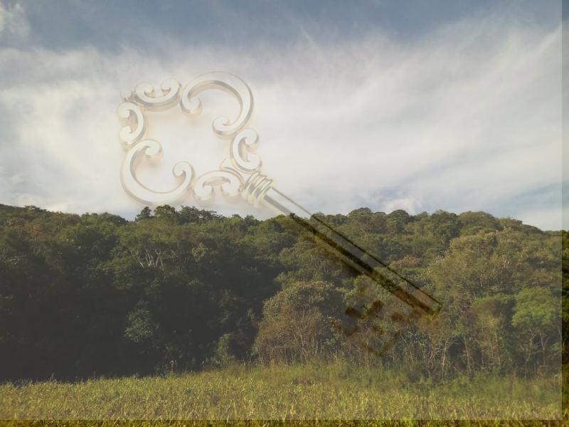 Loteamento e Condomínio, 13 hectares - Foto 9