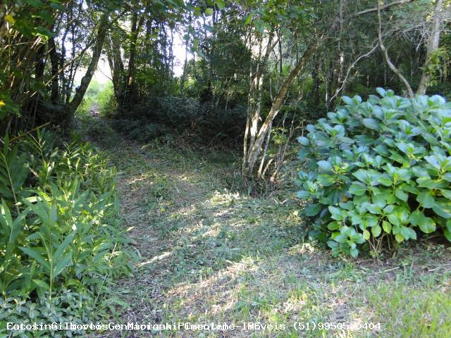 Chácara, 3 hectares - Foto 9