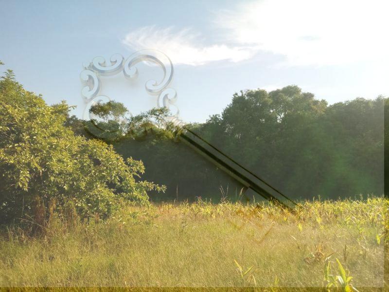 Loteamento e Condomínio, 13 hectares - Foto 10