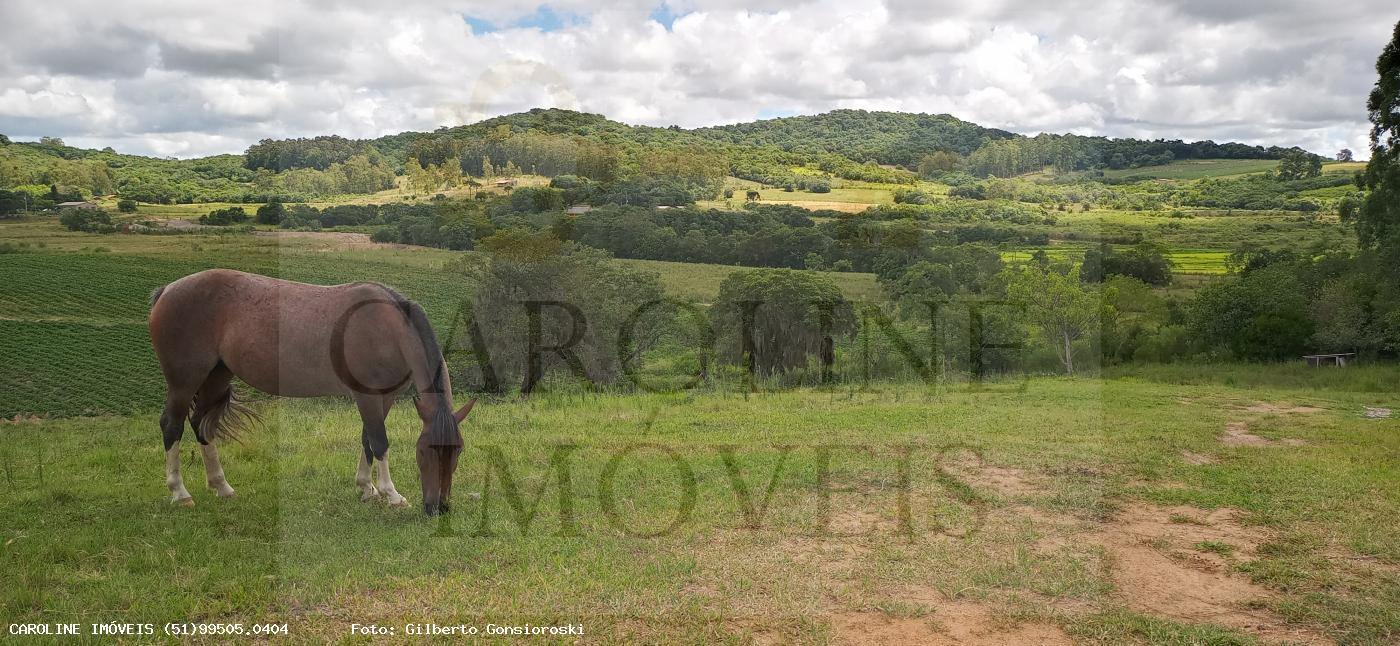 Fazenda, 21 hectares - Foto 12