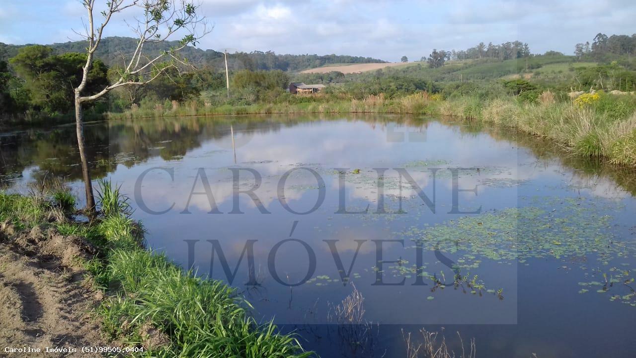 Fazenda, 21 hectares - Foto 4