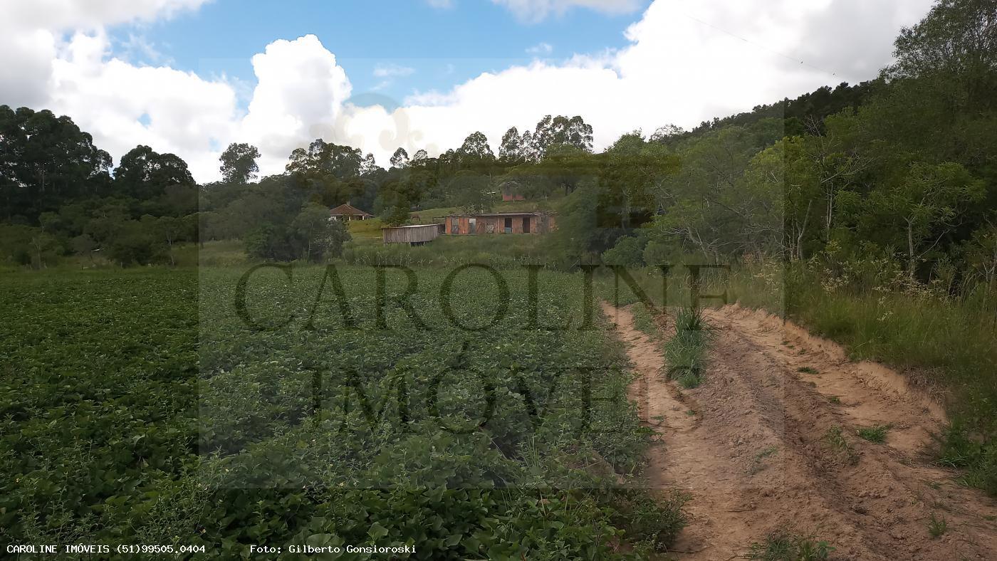 Fazenda, 21 hectares - Foto 16