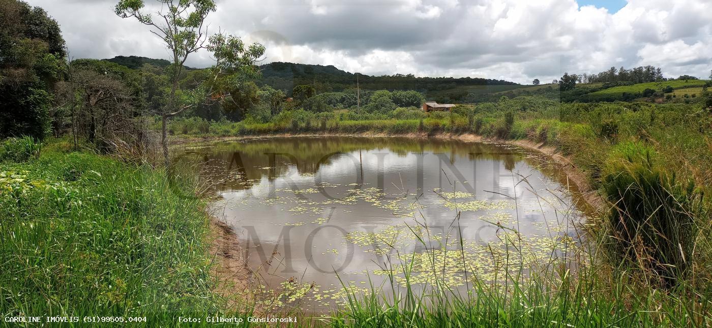 Fazenda, 21 hectares - Foto 19