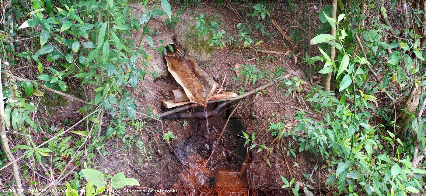 Fazenda, 21 hectares - Foto 20