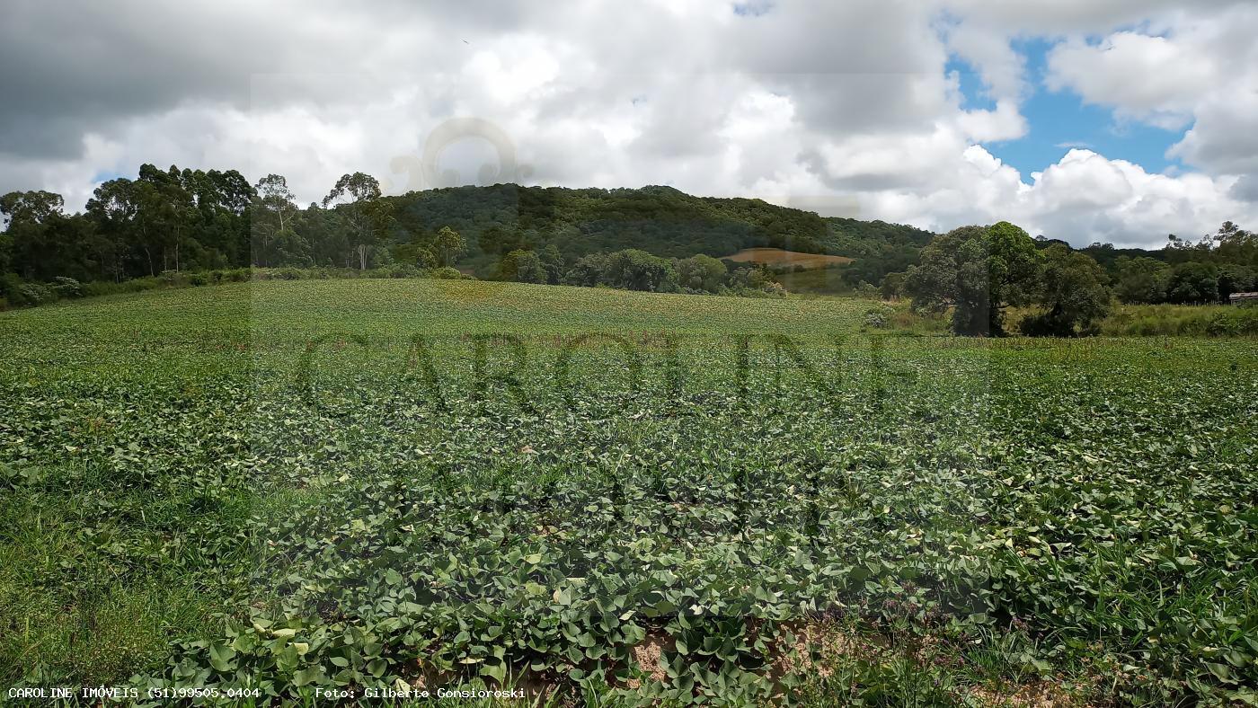 Fazenda, 21 hectares - Foto 21