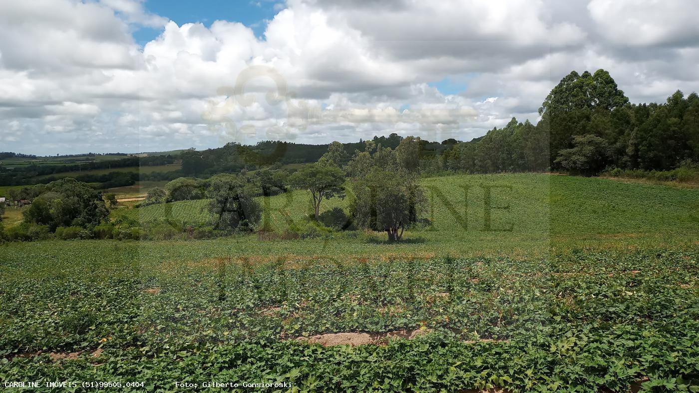 Fazenda, 21 hectares - Foto 23