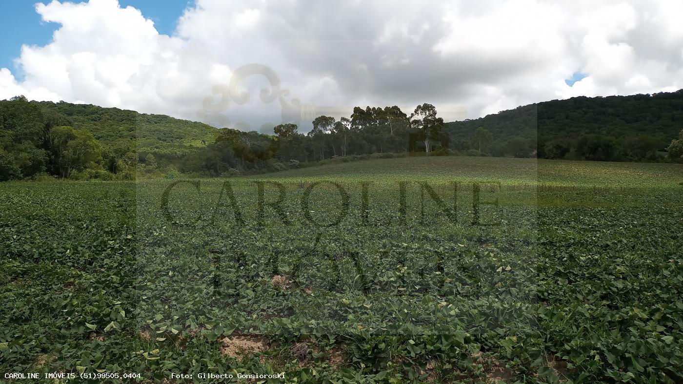 Fazenda, 21 hectares - Foto 24