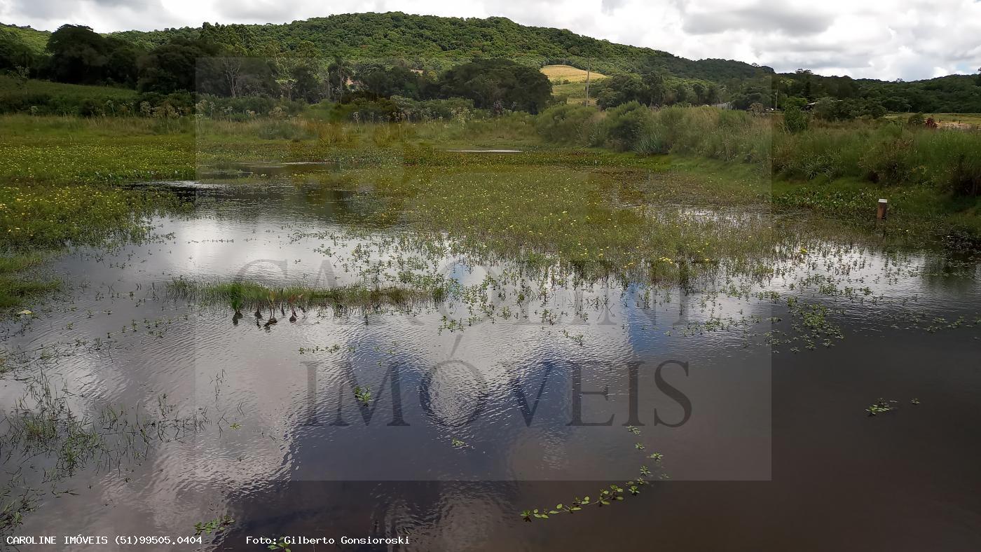 Fazenda, 21 hectares - Foto 27