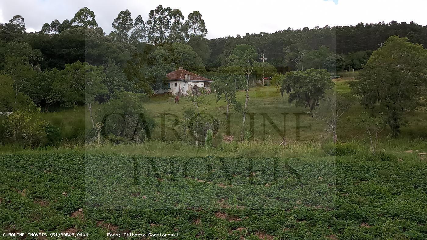 Fazenda, 21 hectares - Foto 28
