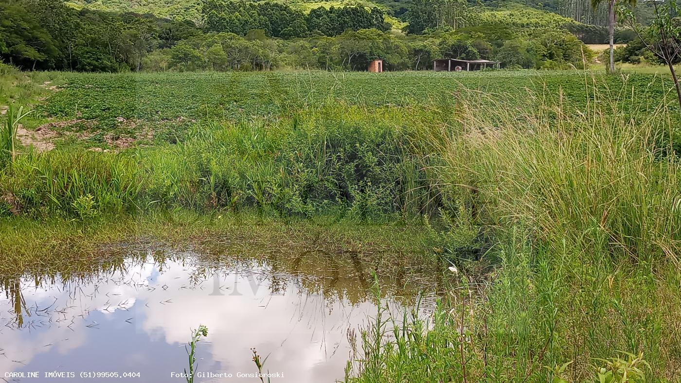 Fazenda, 21 hectares - Foto 29