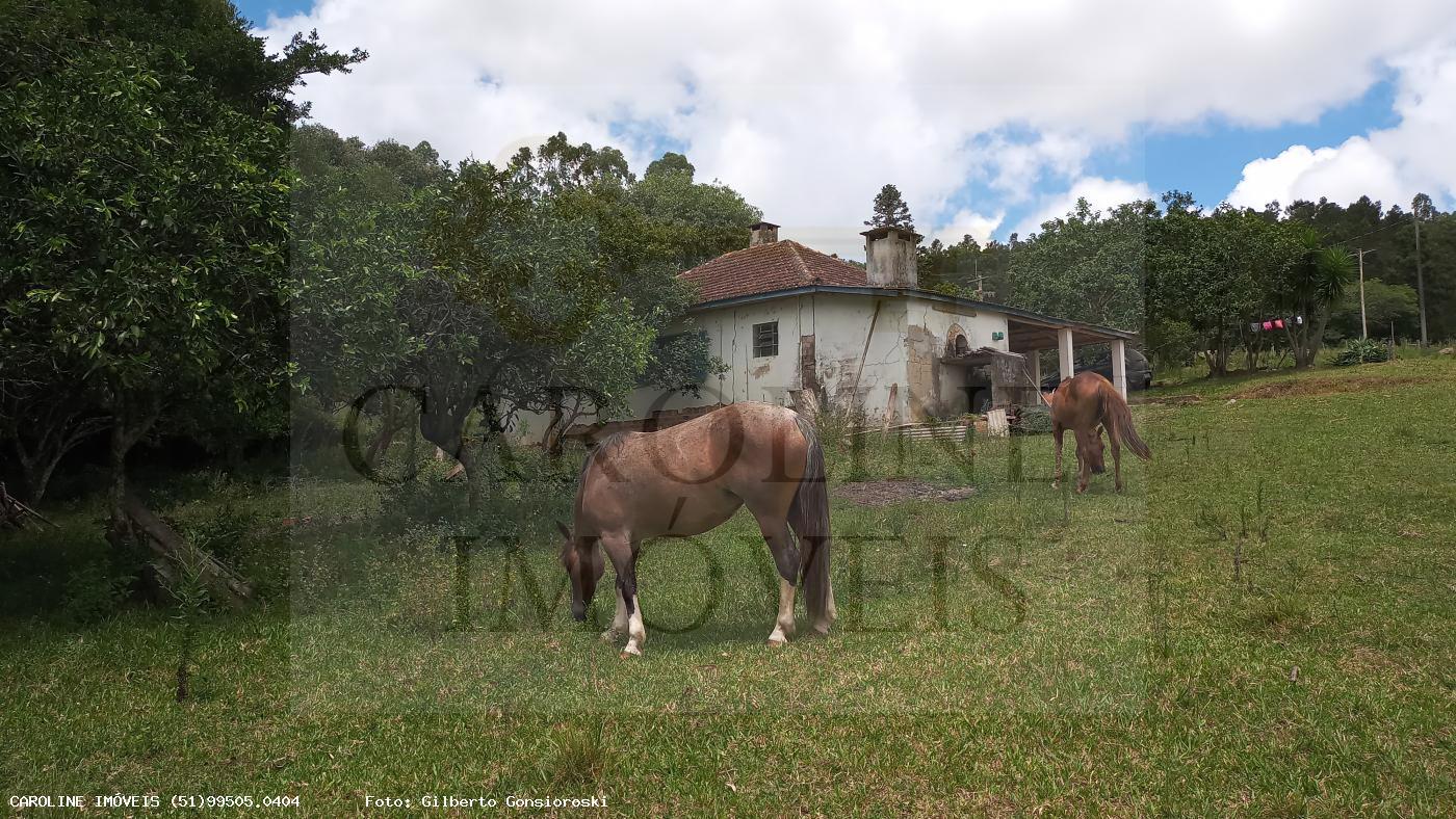 Fazenda, 21 hectares - Foto 30