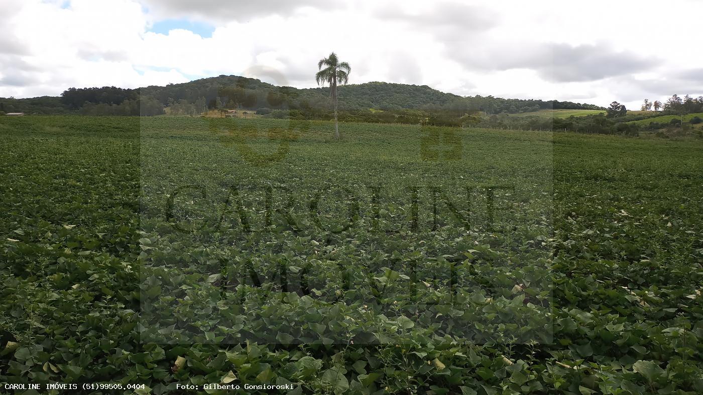 Fazenda, 21 hectares - Foto 6